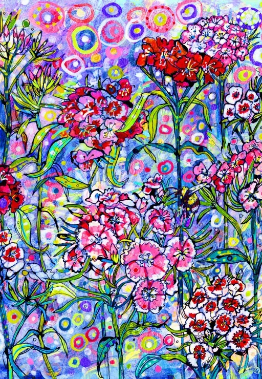Sweet William