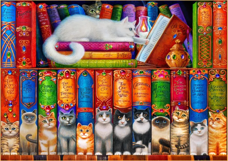 Cat Bookshelf