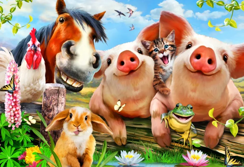 Petting Farm
