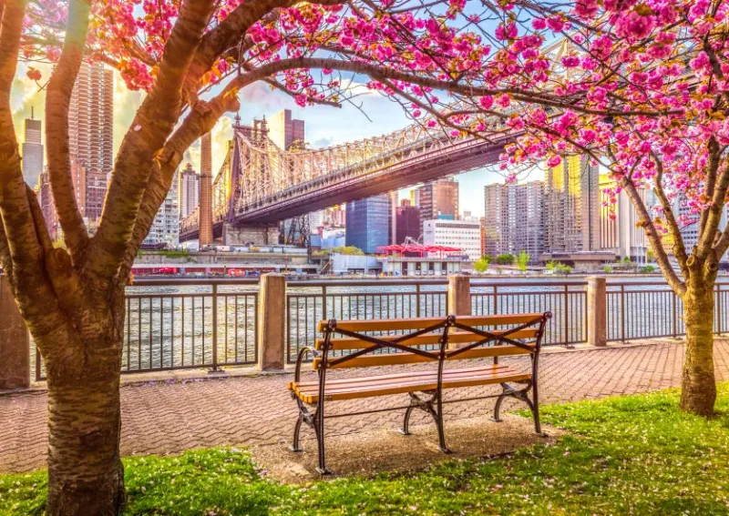 New York, États-Unis