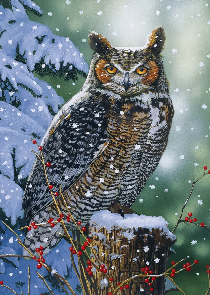 Hibou Silencieux