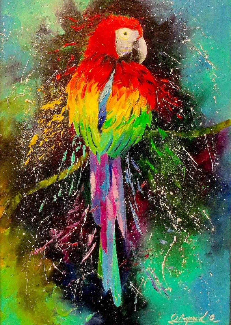 Perroquet Coloré