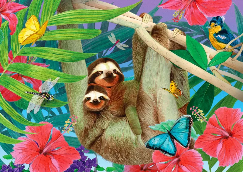 Sweet Sloths