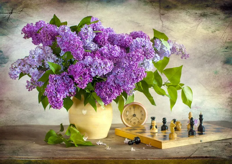Lilas et échecs