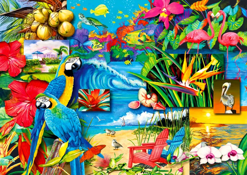 Trésors Tropicaux