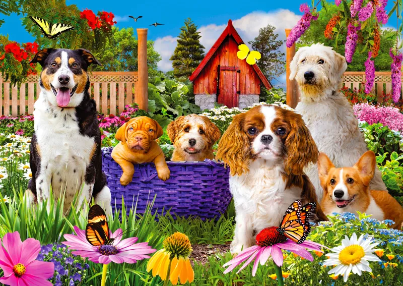 Écusson pour Chiot