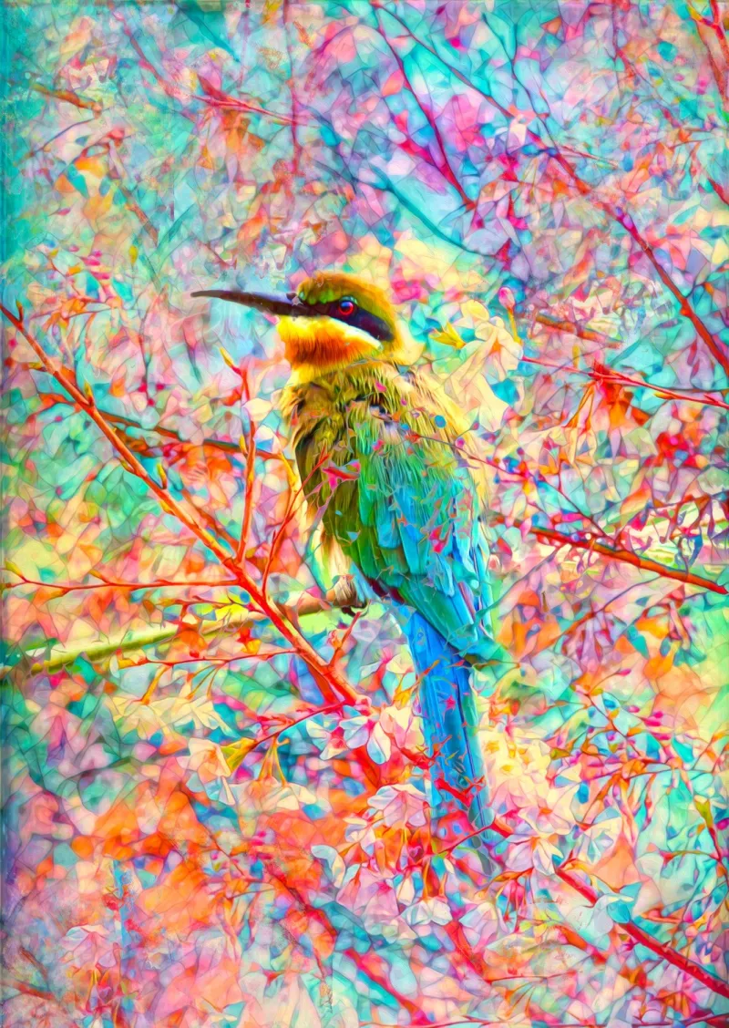Oiseau Joyeux