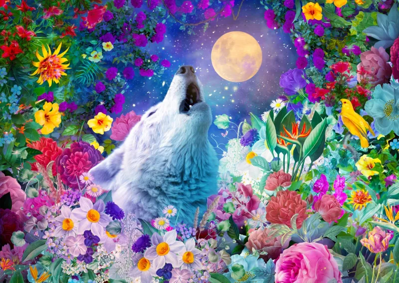La Nuit du Loup