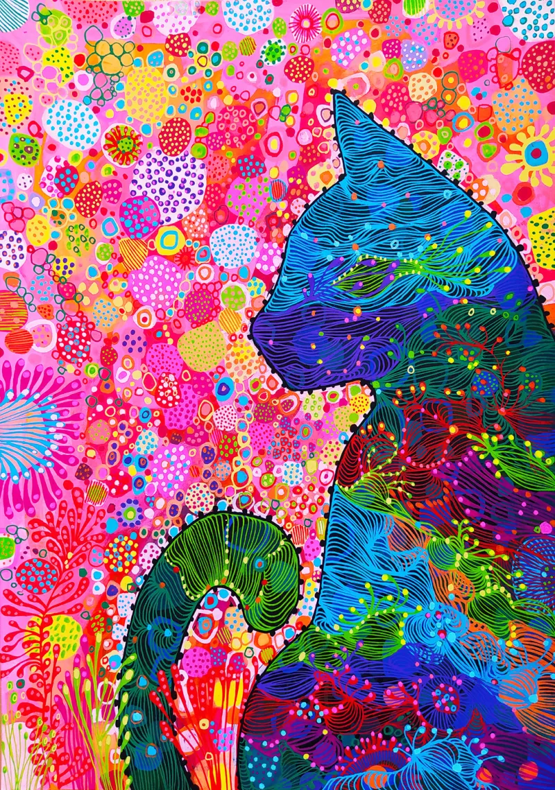 Wandering Cat