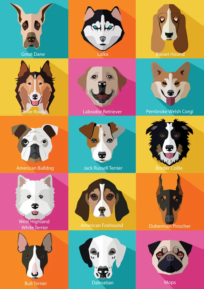 The Dogs