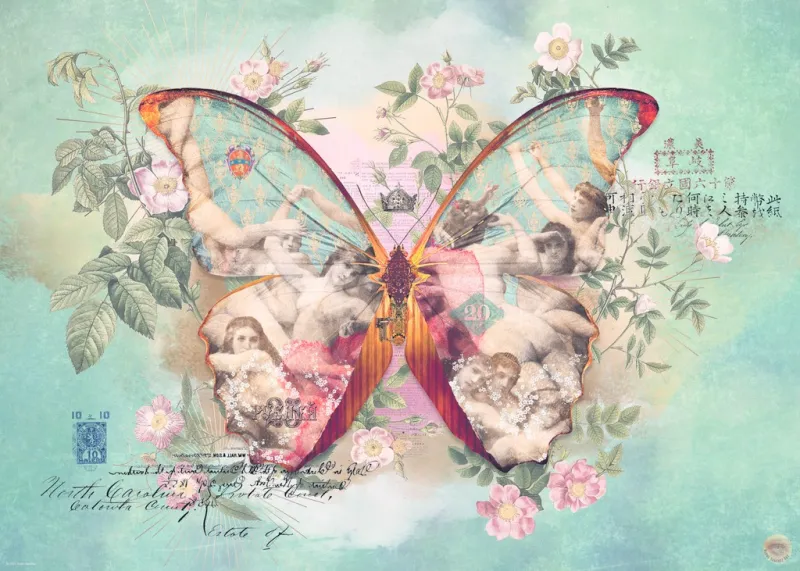 Ailes n°1
