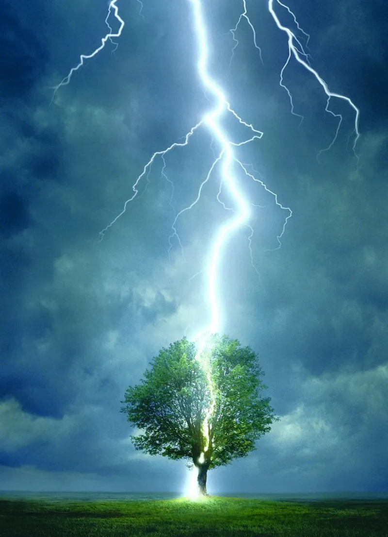 Foudre frappant un arbre