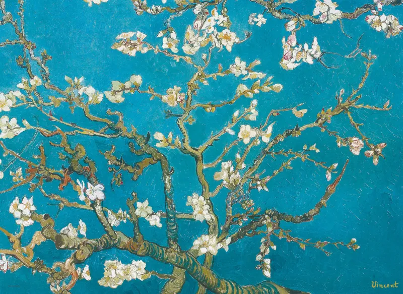 Van Gogh : Branche d'amandier en fleurs