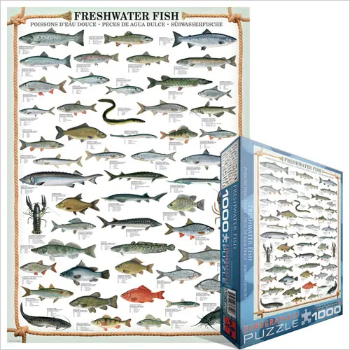 Poissons d'eau douce