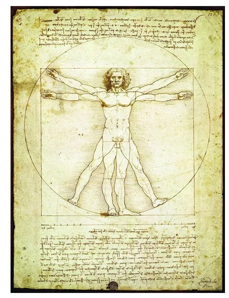 Leonard de Vinci : L'homme de Vitruve