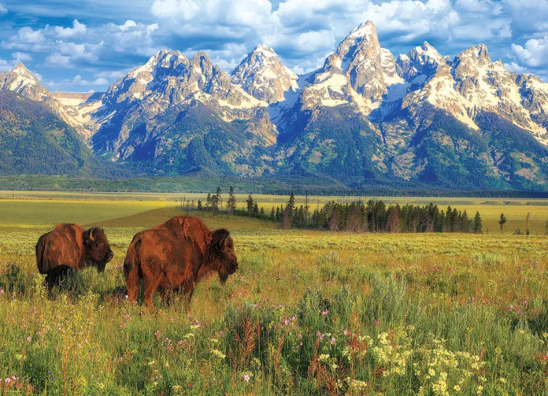 Parc National Grand Teton