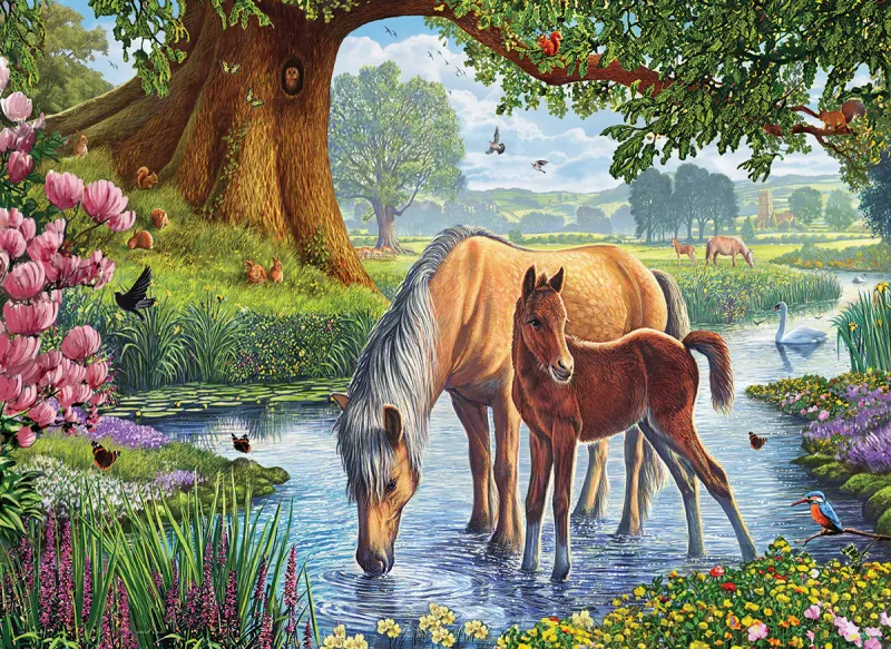 Steve Crisp - The Fell Ponies