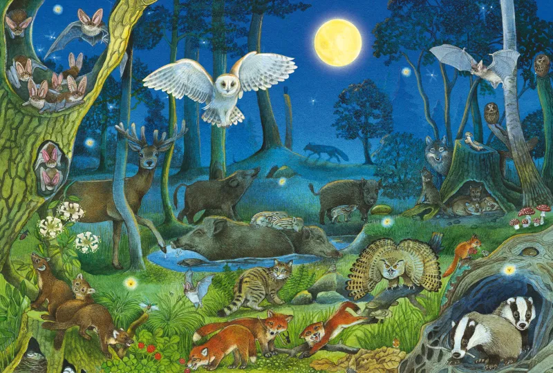 Animaux dans la Forêt Nocturne