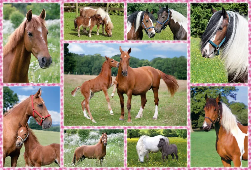Rêves de Cheval