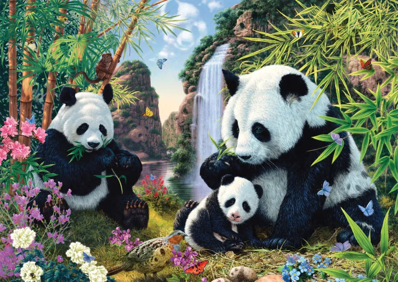 Famille de Pandas