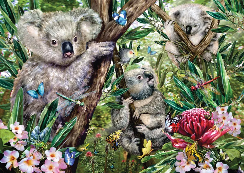 Une Adorable Famille de Koalas