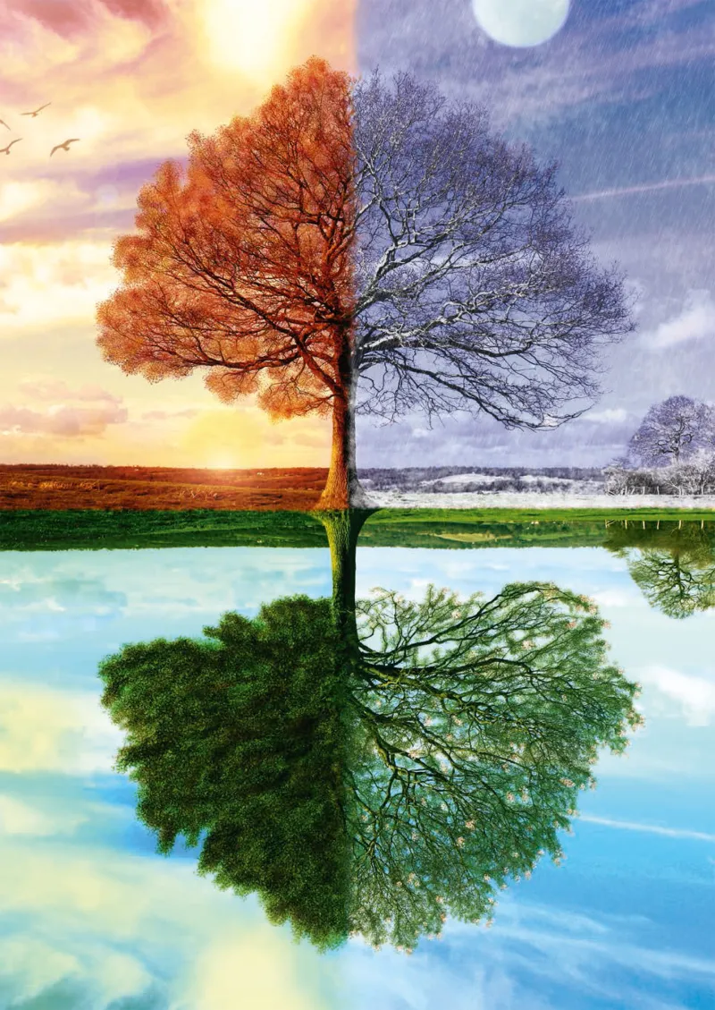 Arbre des 4 Saisons