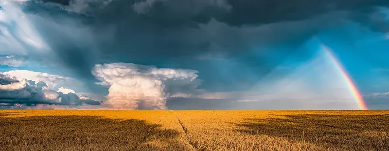 Nature Edition - Météo Arc-en-ciel Mystique
