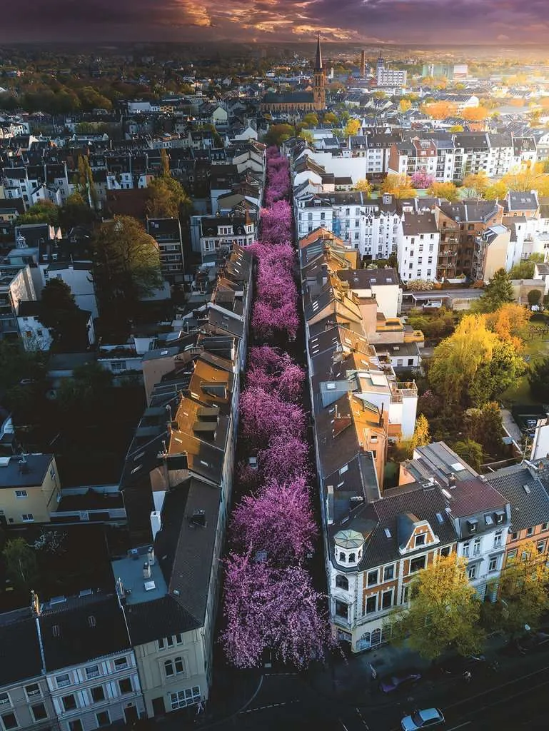 Bonn en Fleurs