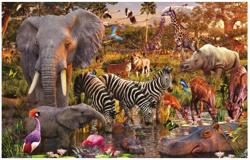 Animaux du continent africain