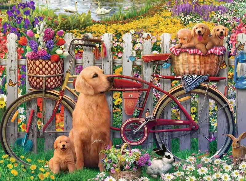 Chiens mignons dans le Jardin