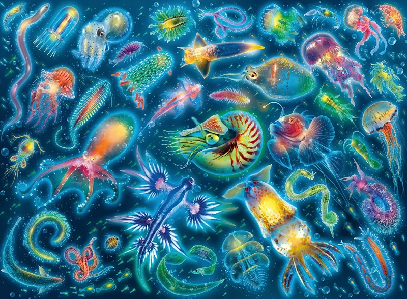 Méduses colorées