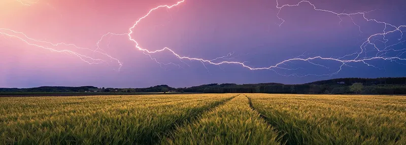 Nature Edition - Orage d'été