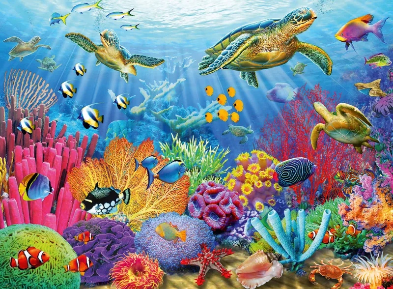 Tropical Waters