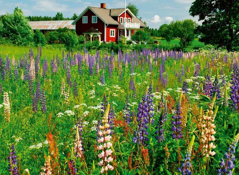 Ferme en Suède (Puzzle Highlight, Scandinavian)