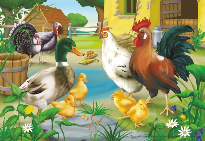 Animaux de la ferme : poule, coq, canard, poussins et dindons