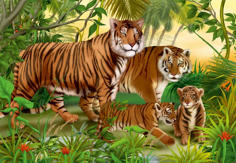 Animaux Sauvages - Tigres