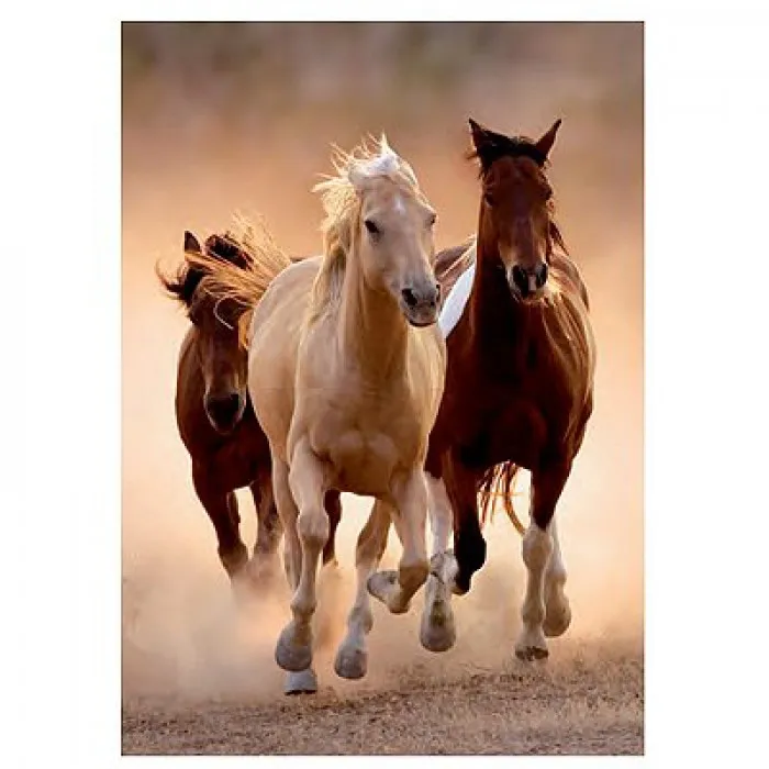 Chevaux au Galop I
