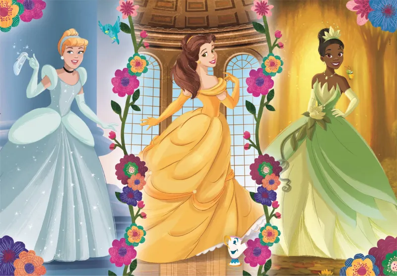 Pièces XXL - Princesse Disney