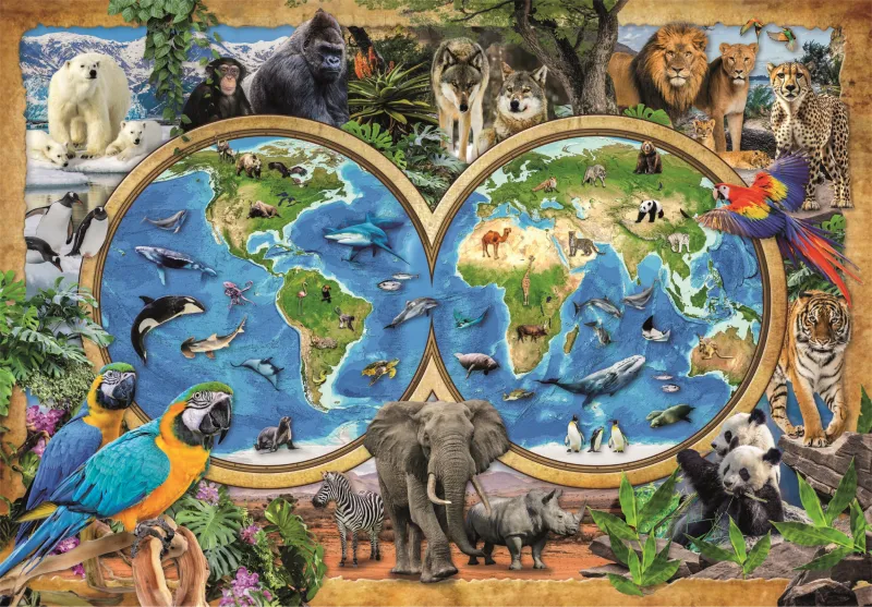 Le Monde Merveilleux des Animaux