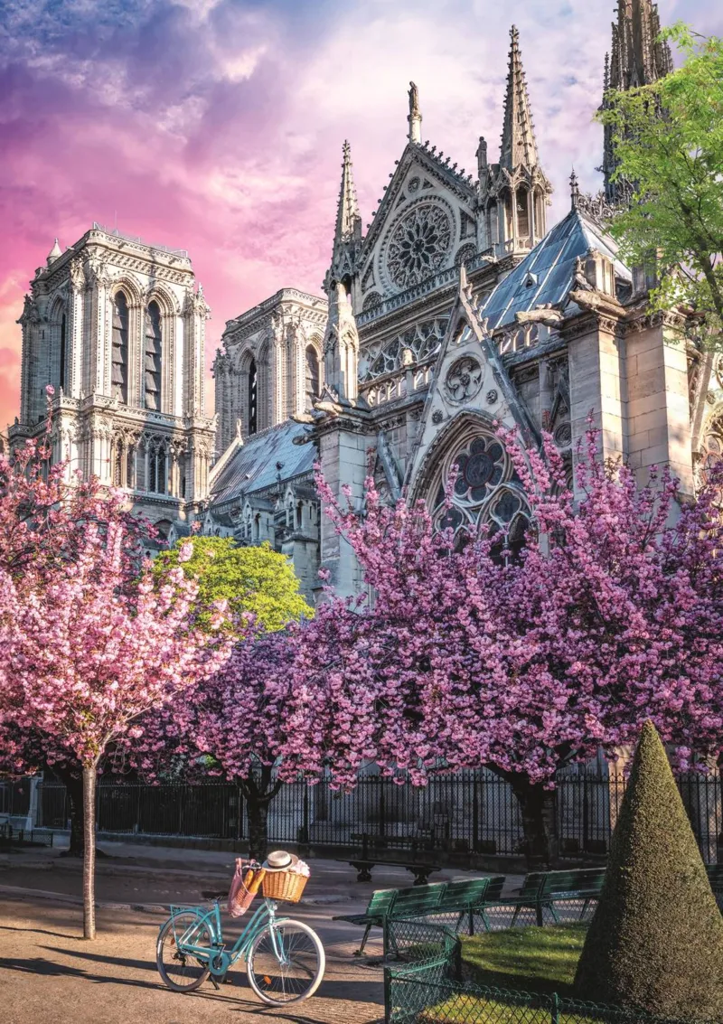 Odyssée Photo : Cathédrale Notre-Dame De Paris