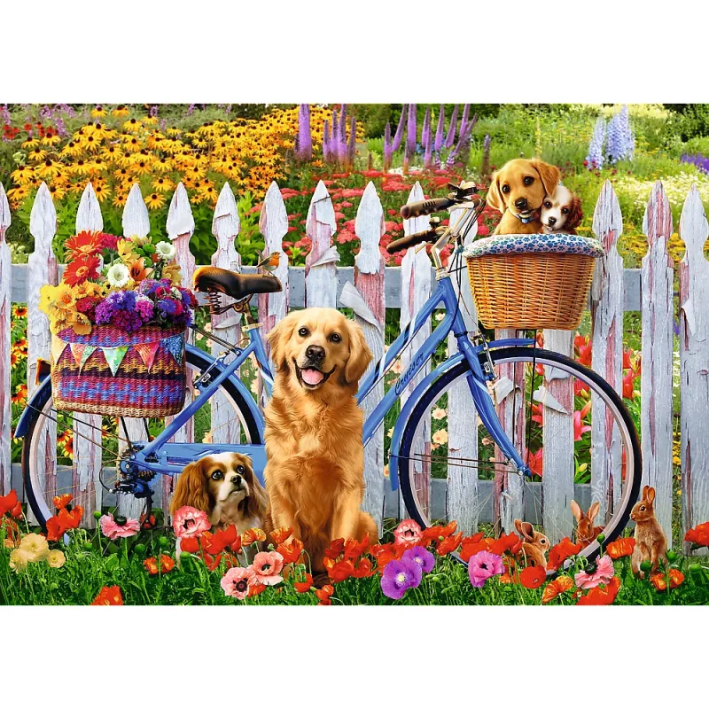 Aventure de Chiots