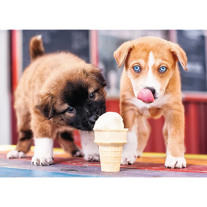 Temps d'une Glace !