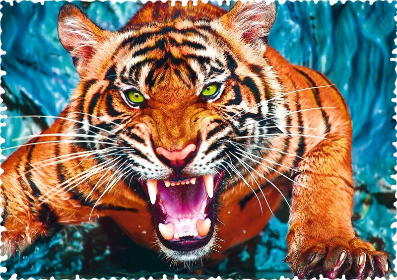 Crazy Shapes - Facing a tiger
