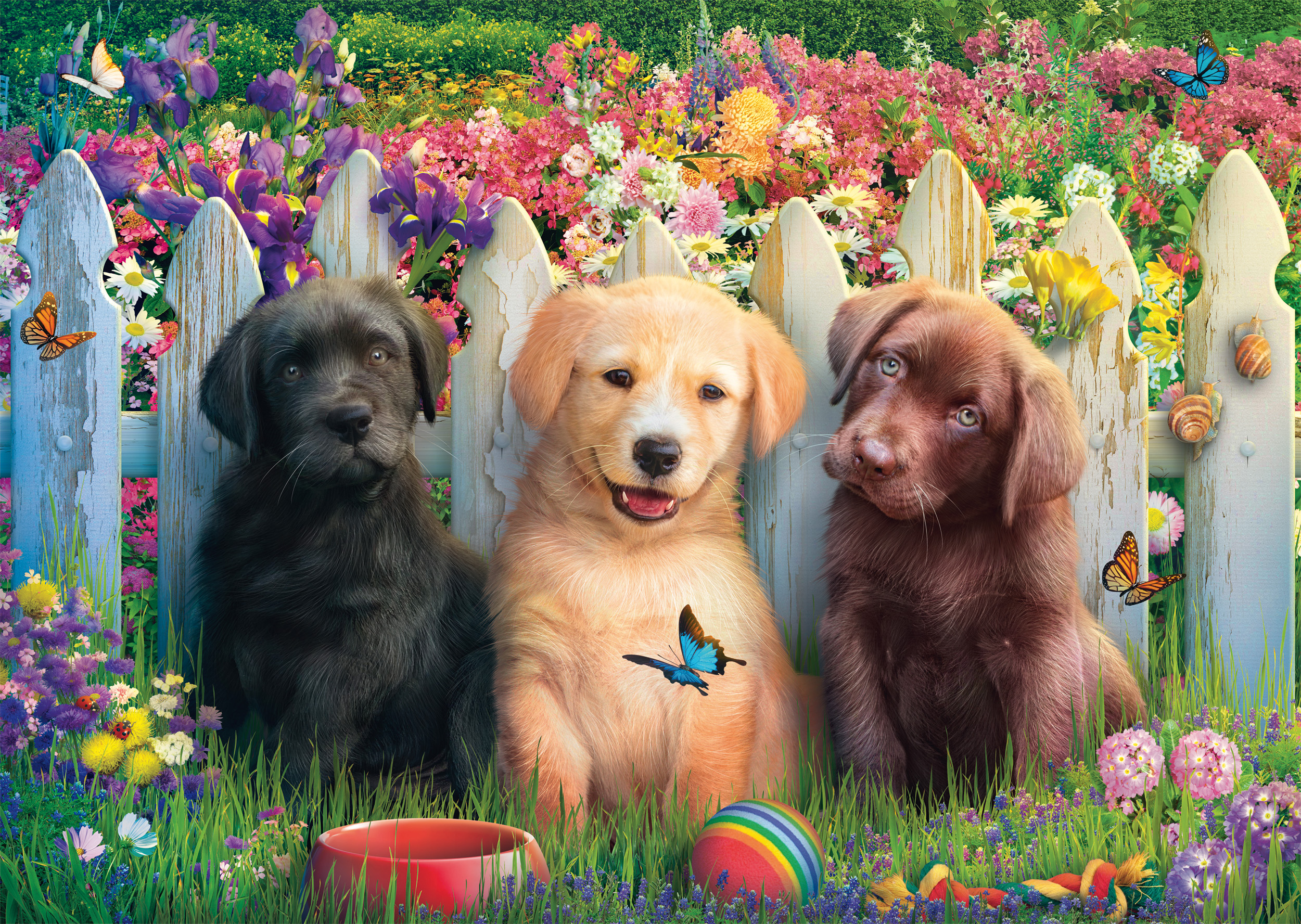Adorable scène de chiots