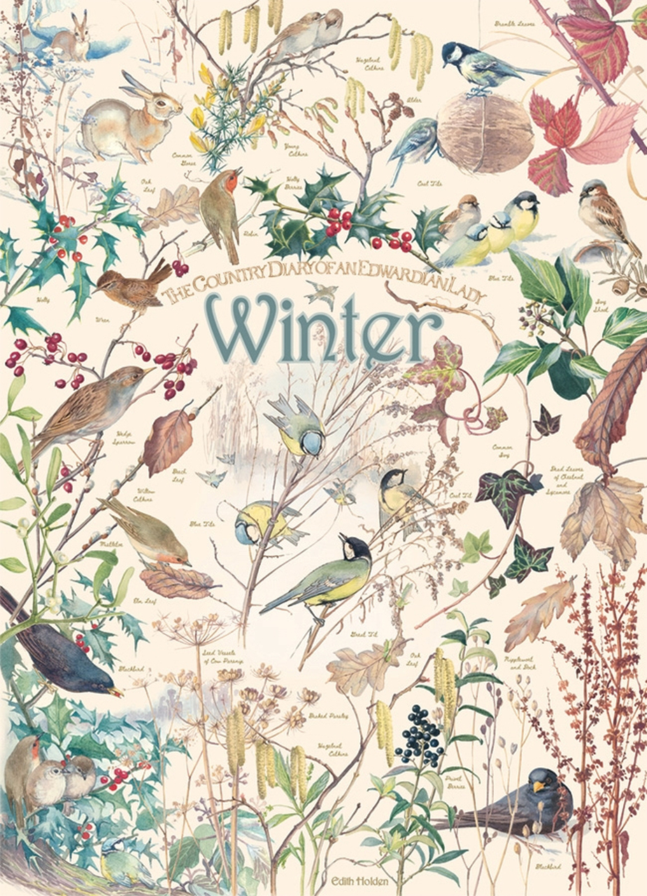 Country Diary - Hiver