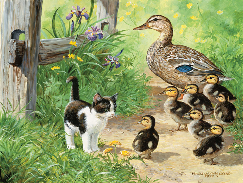 Pièces XXL - Duck Inspector