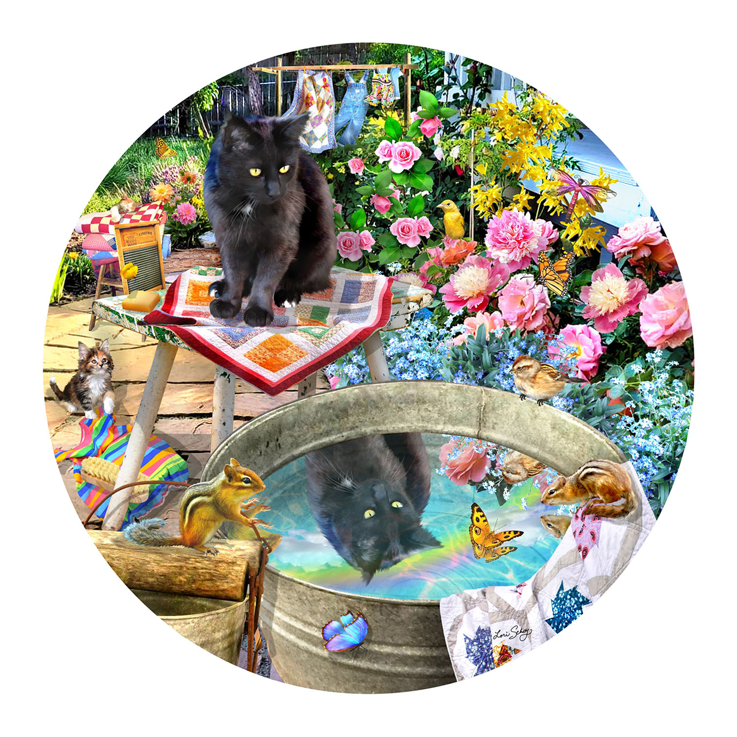 Reflets de Chaton