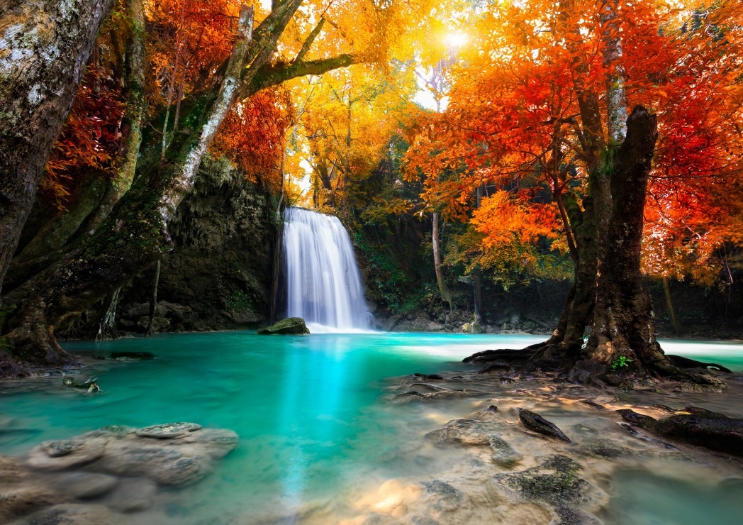 Cascade dans la Forêt