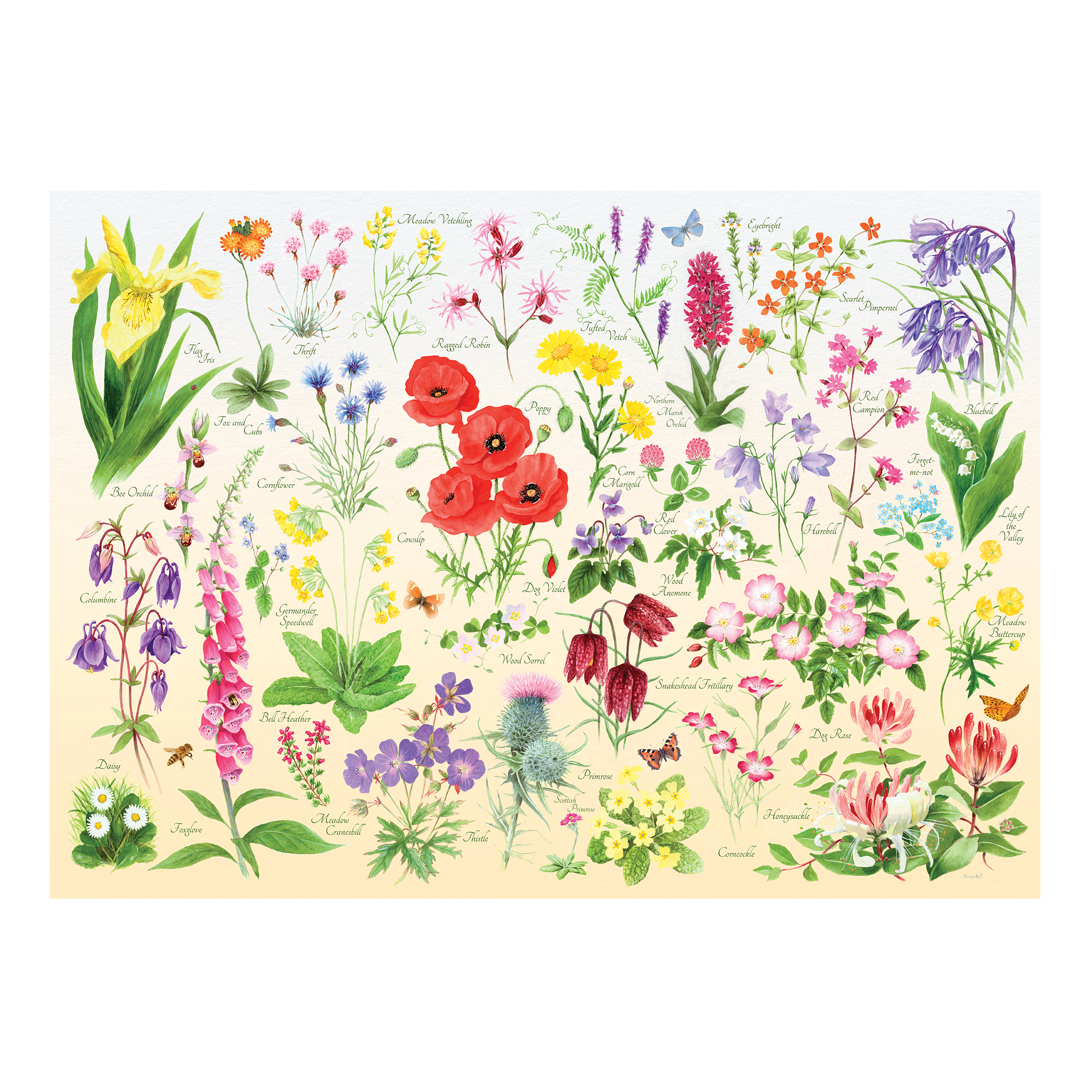 Wildflowers