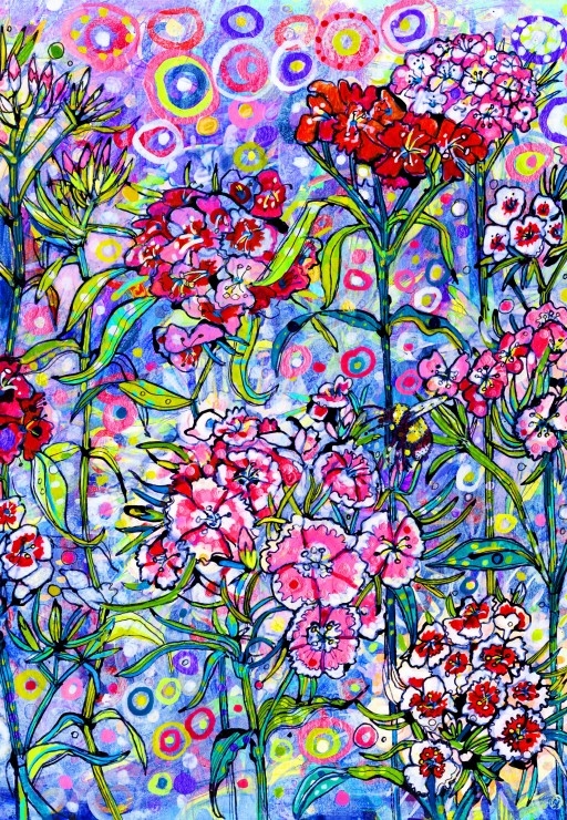 Sweet William
